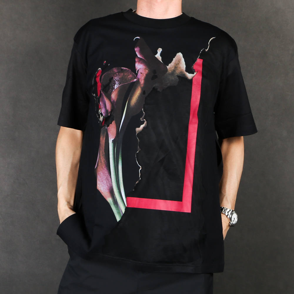 jXFEvfW1.jpg
